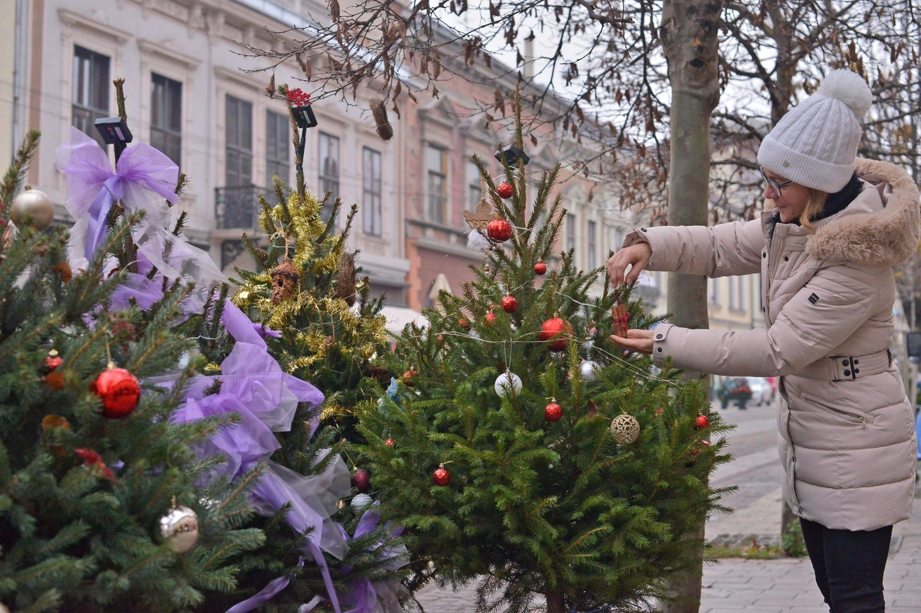 karácsonyfadíszítés