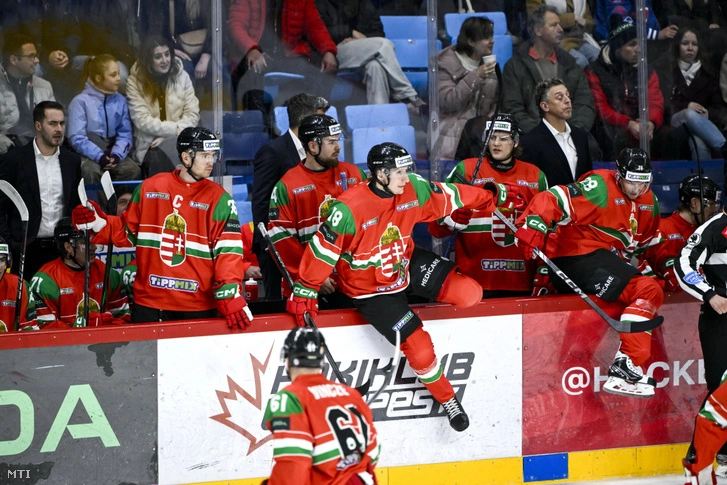 A mieink a papírformának megfelelően mindkét eddigi mérkőzésüket elveszítették. Fotó: MTI 