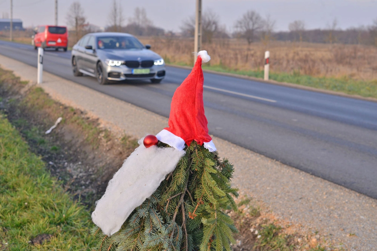 Manók Martinkertvárosban. Fotó: Osztie Tibor