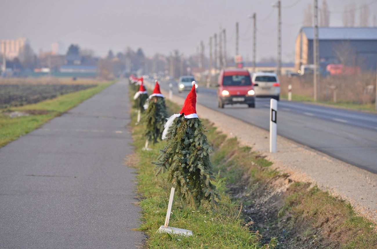 Manók Martinkertvárosban. Fotó: Osztie Tibor