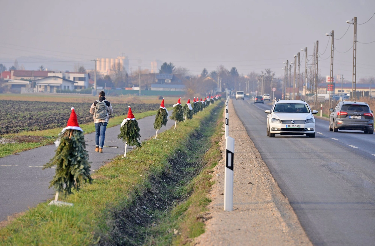 Manók Martinkertvárosban. Fotó: Osztie Tibor