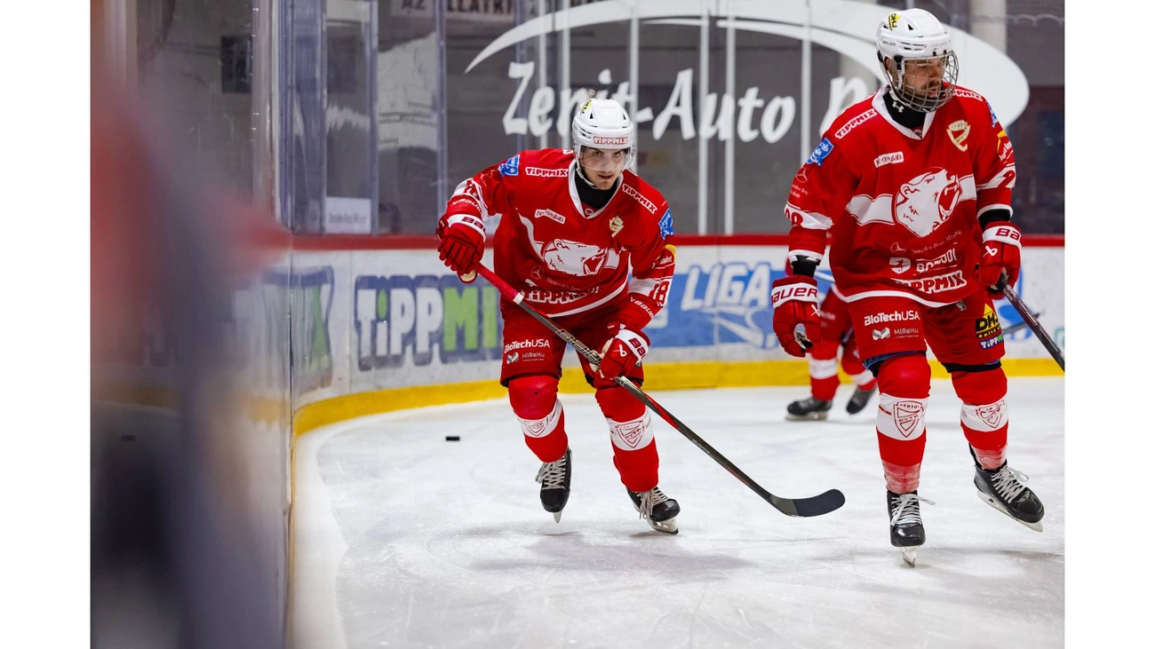 erre: dvtk-jegesmedvek-harom.jpg