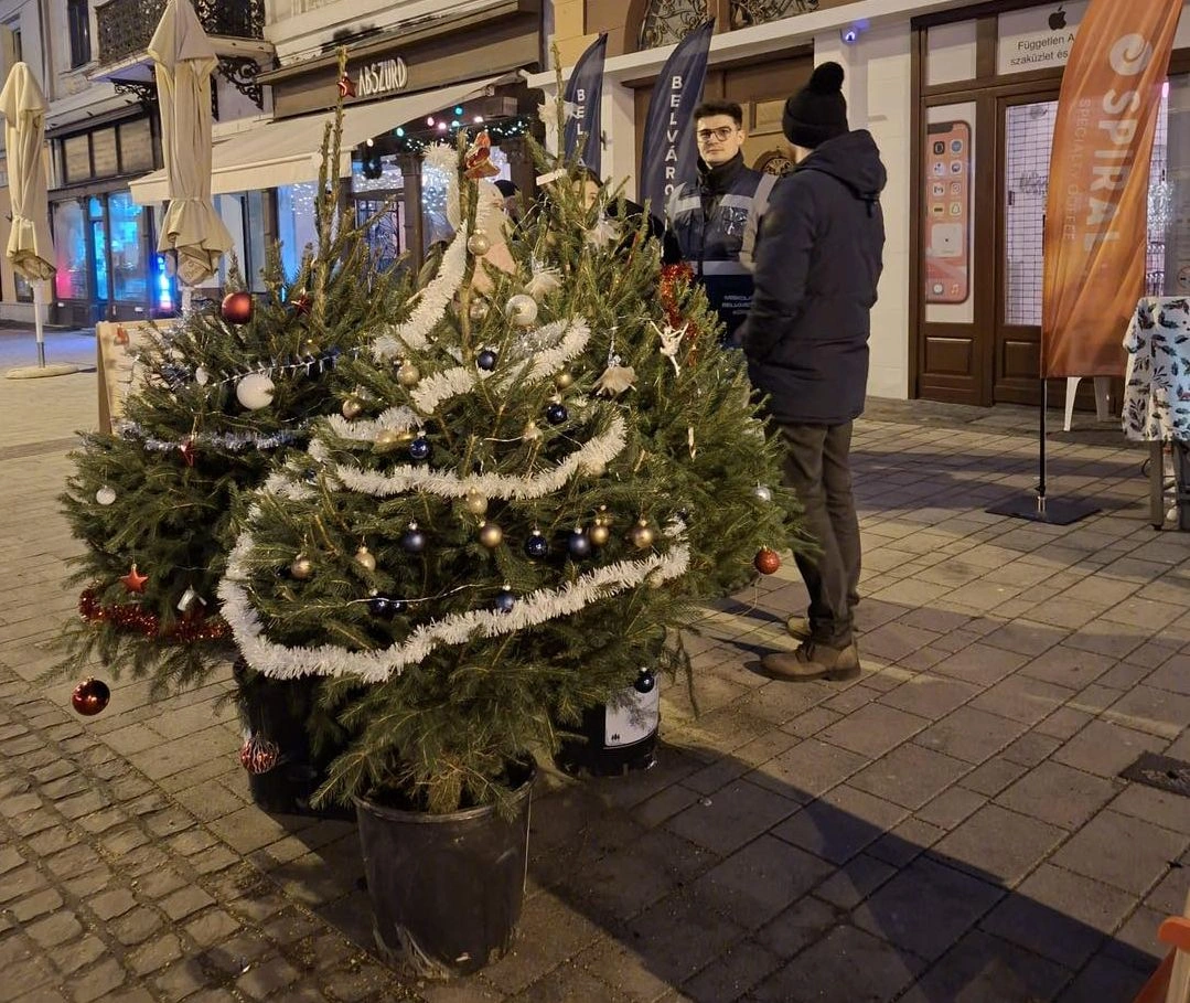 Miskolci Belvárosi Kör karácsonyfa