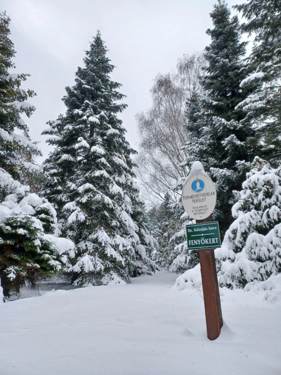 Télen még mesésebb az Avasi Arborétum. Hutóczki Ádám Norbert