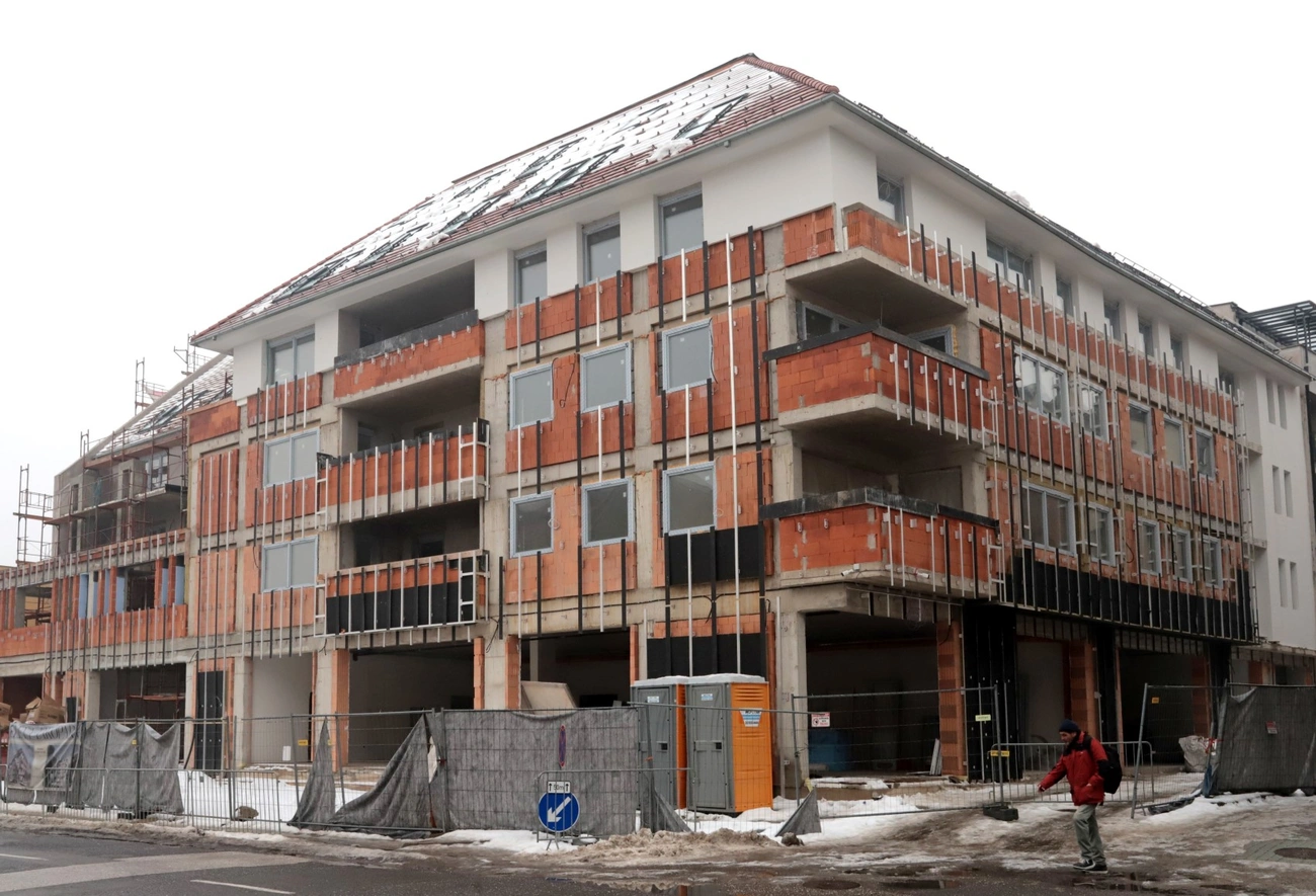 e erre: sever_elena_lakopark_260124ml-1.JPG