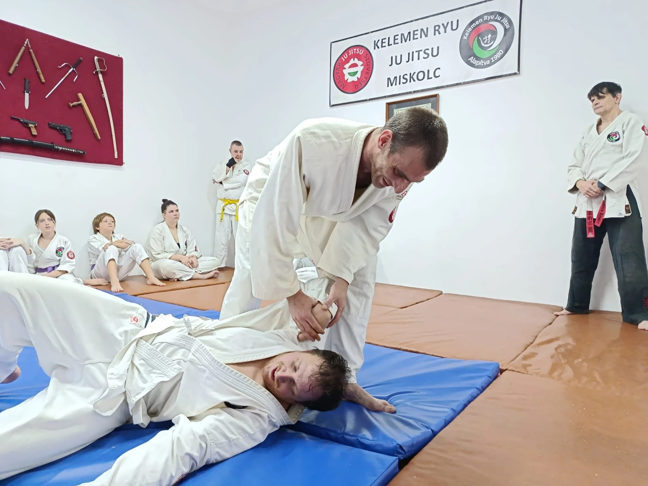 134447ec-3764-46a8-a4e7-fd9f7681d3f7.jpg (229.34 KB)