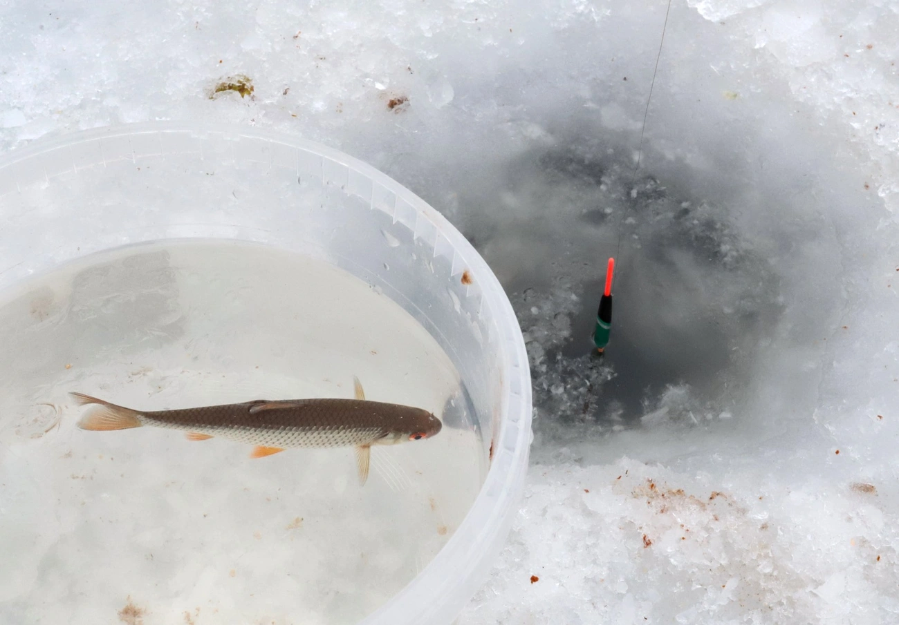 téli horgászat. Fotó: Mocsári László