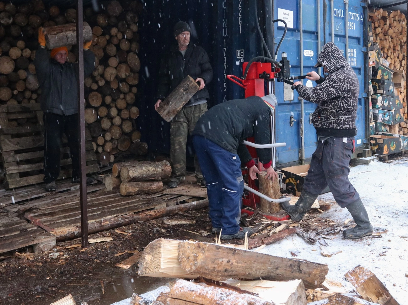 mento_szombiozis_fa_adomany_260128ml-9.jpg (637.81 KB)