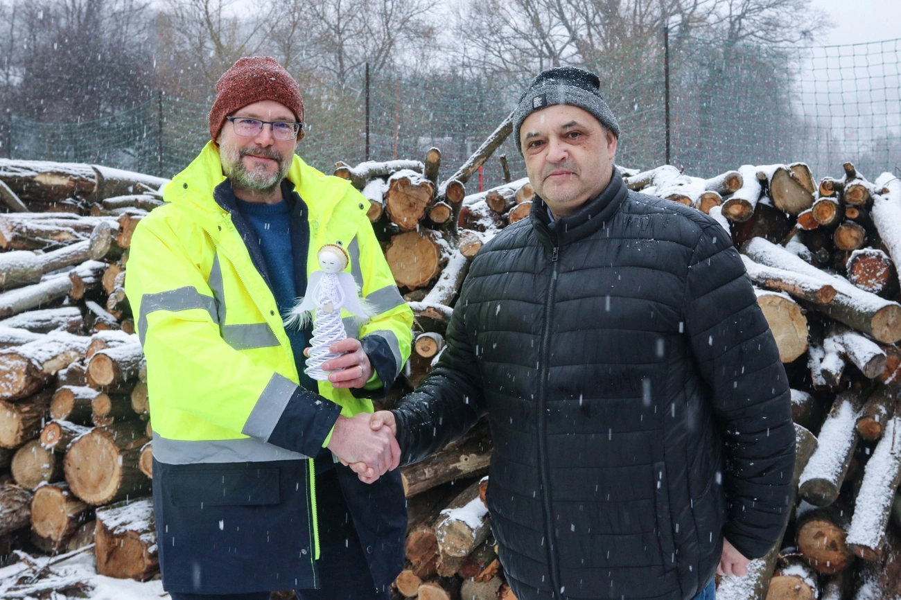 mento_szombiozis_fa_adomany_260128ml-8.jpg (501.37 KB)