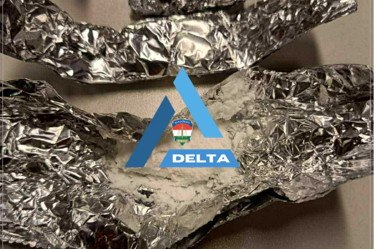 Delta Program