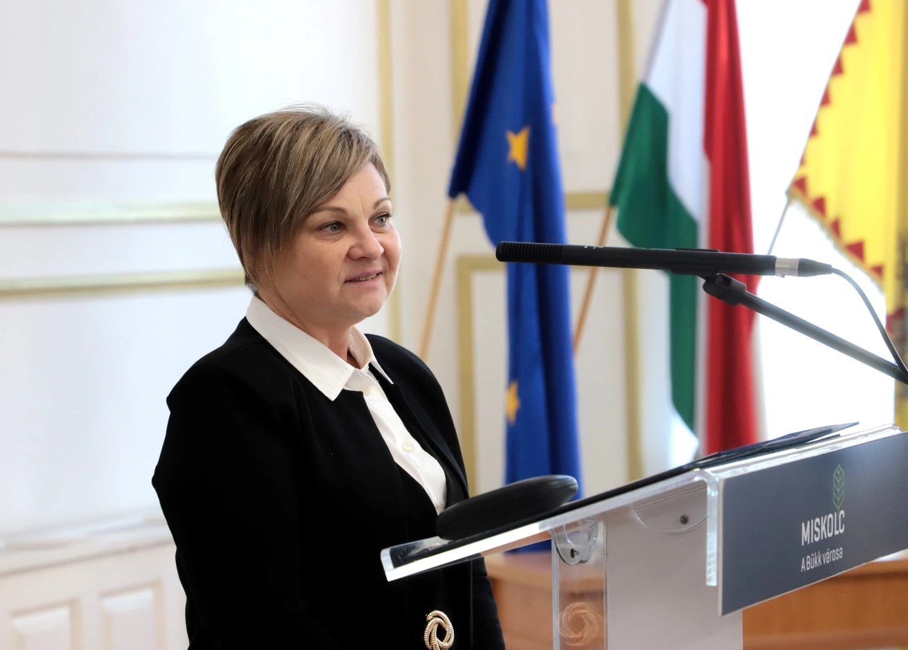 Közigazgatási Nyugdíjas Egyesület 30 éves. Fotó: Mocsári László