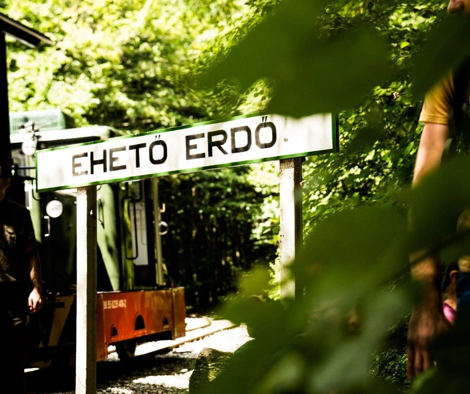 Ehető erdő stúdió beszélgetés. Fotó: Kassay Tamás