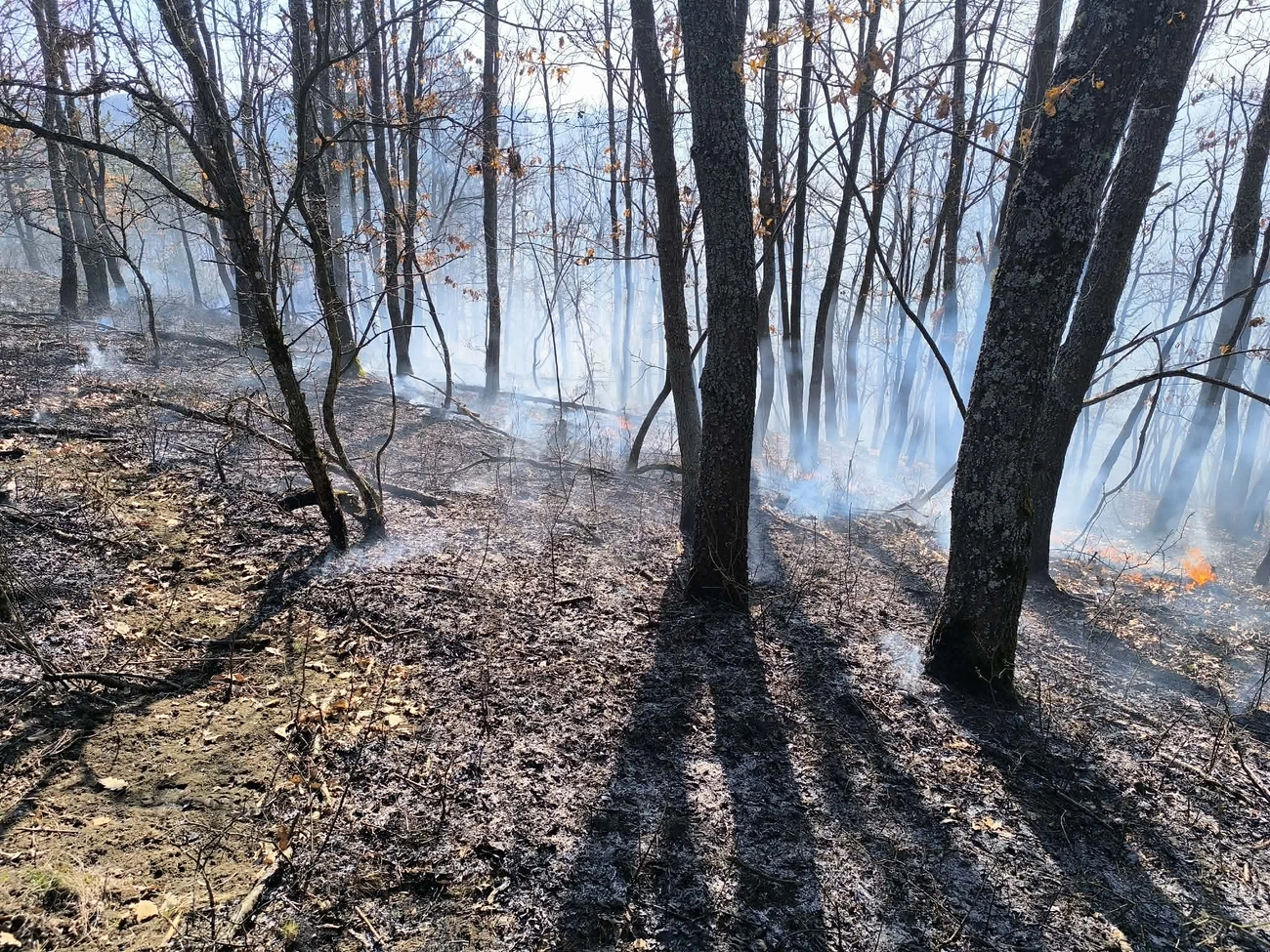 szabadtéri tűz tűzgyújtási tilalom