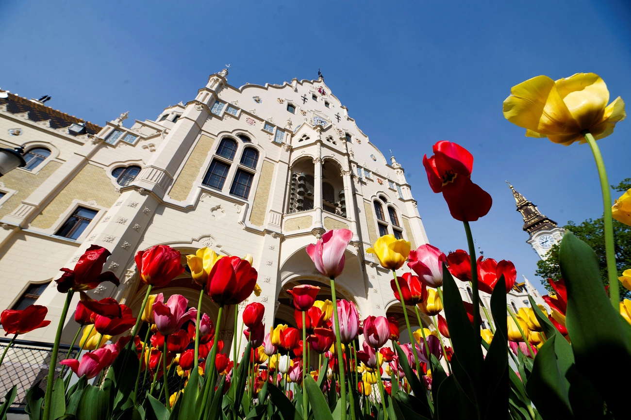 Virágos Magyarország