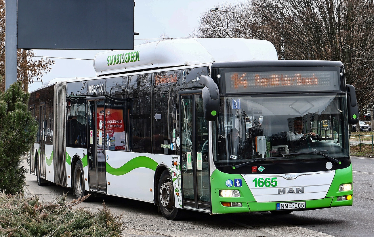 Miskolc 14-es busz MVK