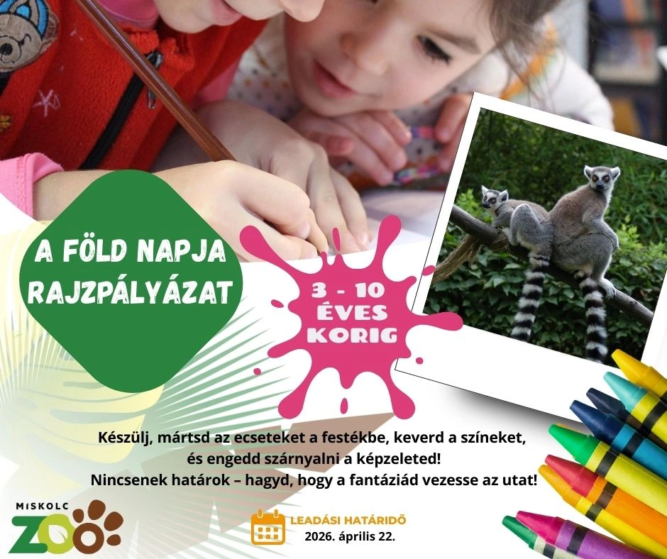 állatkert rajzpályázat. Fotó: Miskolci Állatkert Facebook
