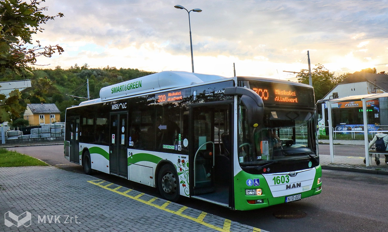 Zoo járat. Fotó: MVK