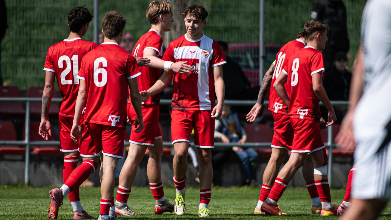 DVTK II F4R Fotó: DVTK