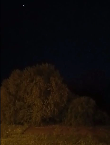 kuvik a miskolci éjszakában