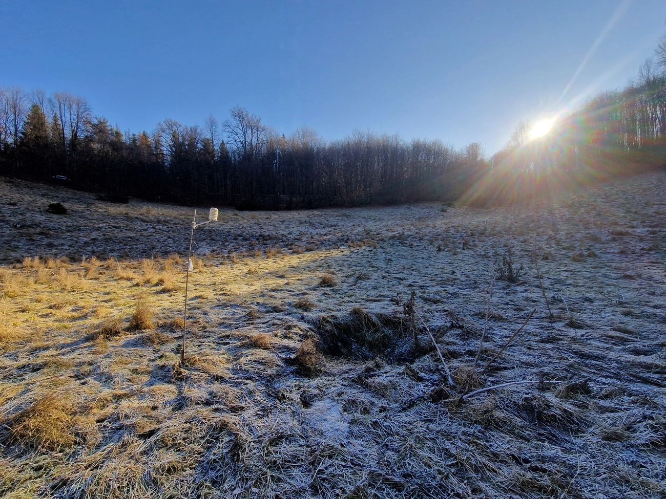Mohos-töbör mikroklíma kutatás, ME Földrajz-Geoinformatika Intézet 2025. december 28.  ·