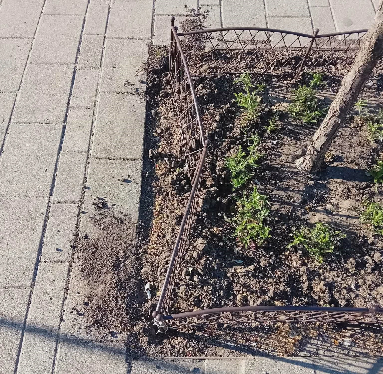 Rongálás a Centrum előtt. Fotó: Miskolci Városgazda Facebook