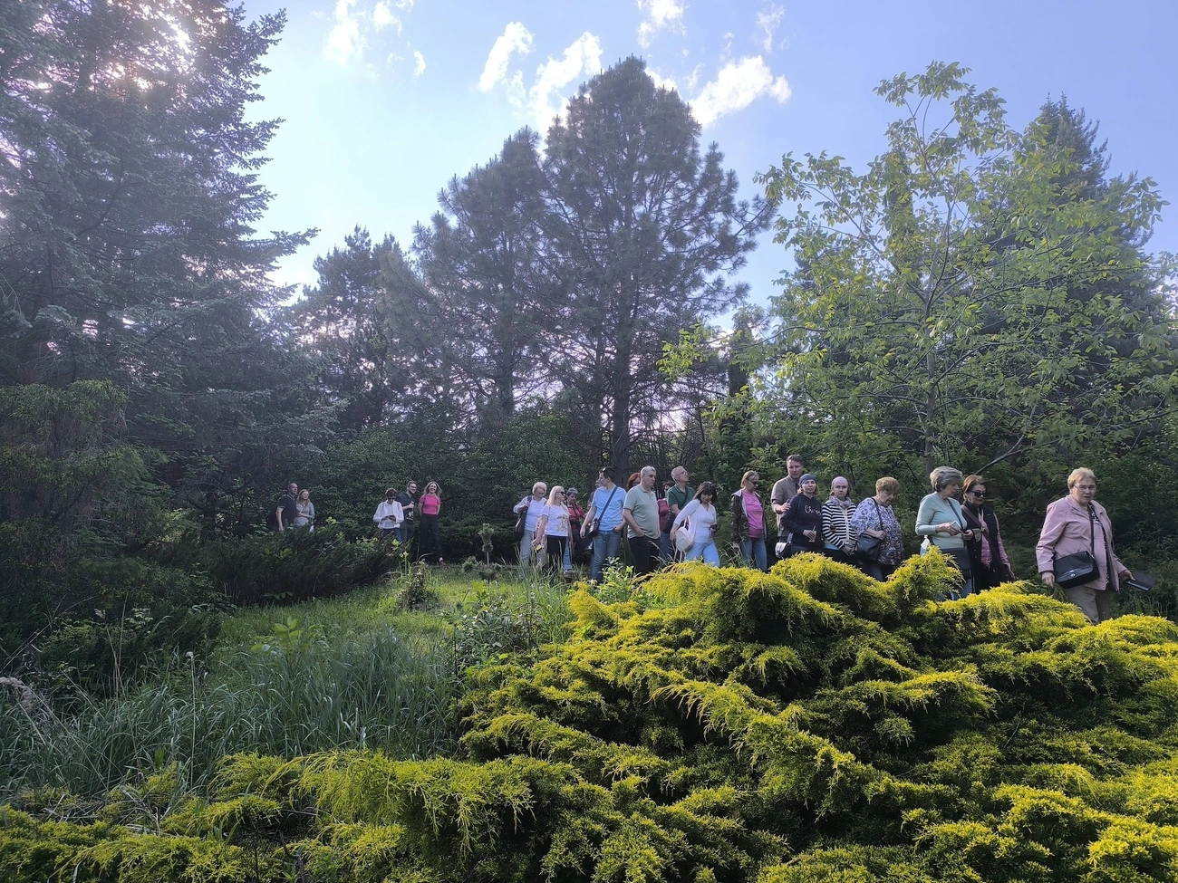 Fenyő- és rhododendron virágzás - vezetett séta a Fenyőkertben. Fotó: Adorján Eszter