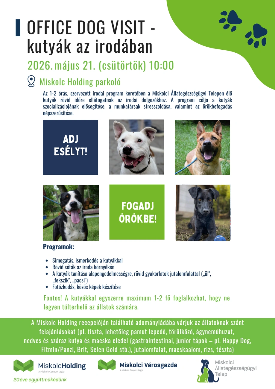 Office Dog Visit. Forrás: Miskolc Holding
