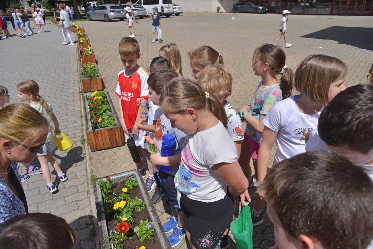 viragultetes_a_nepkertben_20260527-ot_16.jpg