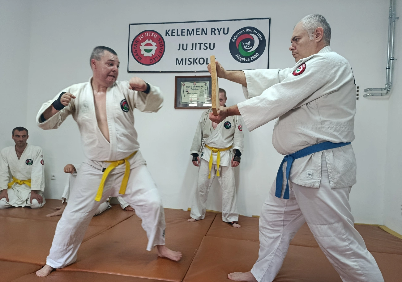 Kelemen Ryu miskolci ju jitsu iskola