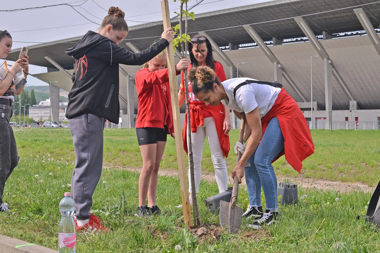 A DVTK kosárlabda szakosztályának Ültess fát! akciója