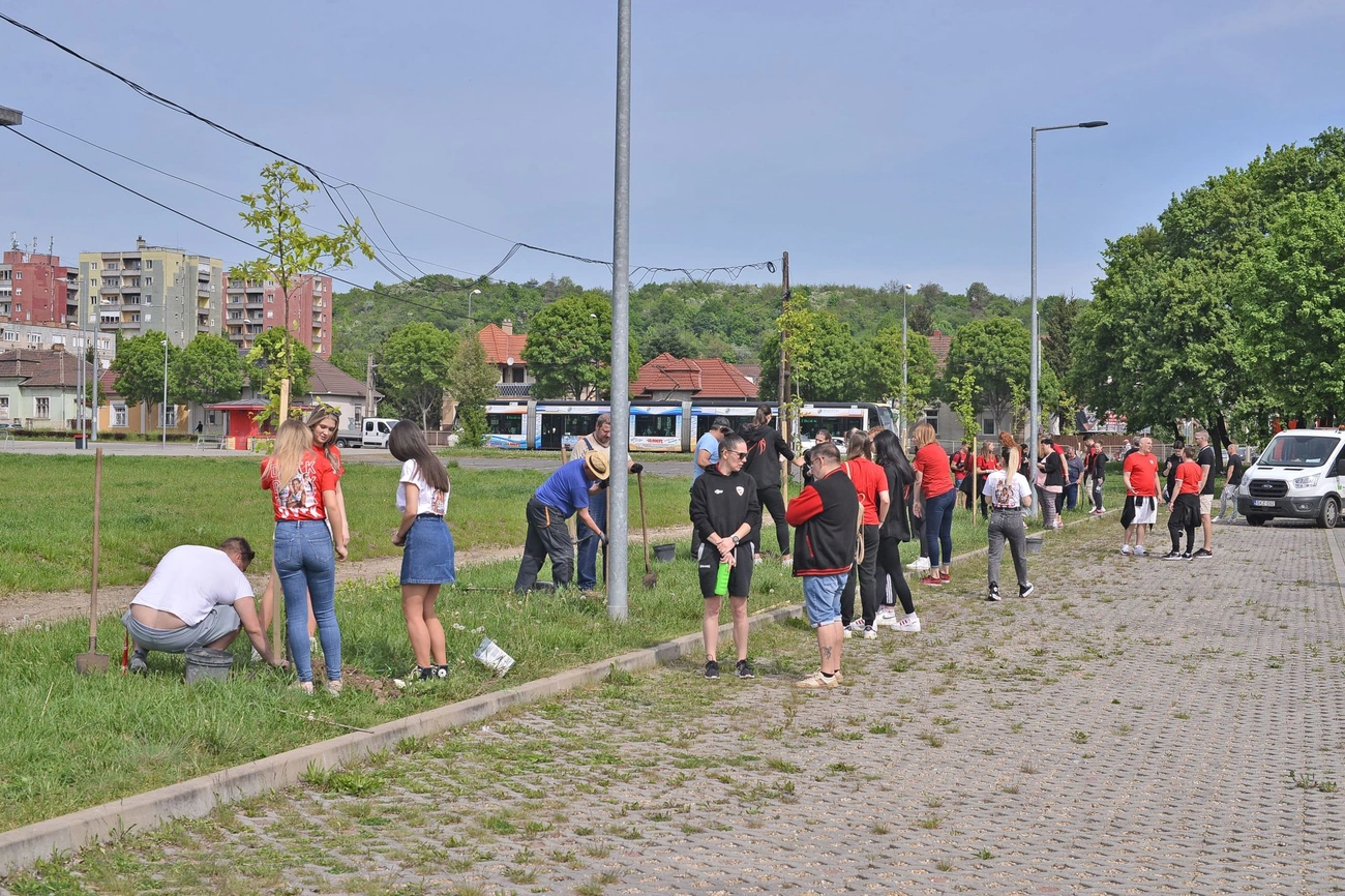 A DVTK kosárlabda szakosztályának Ültess fát! akciója