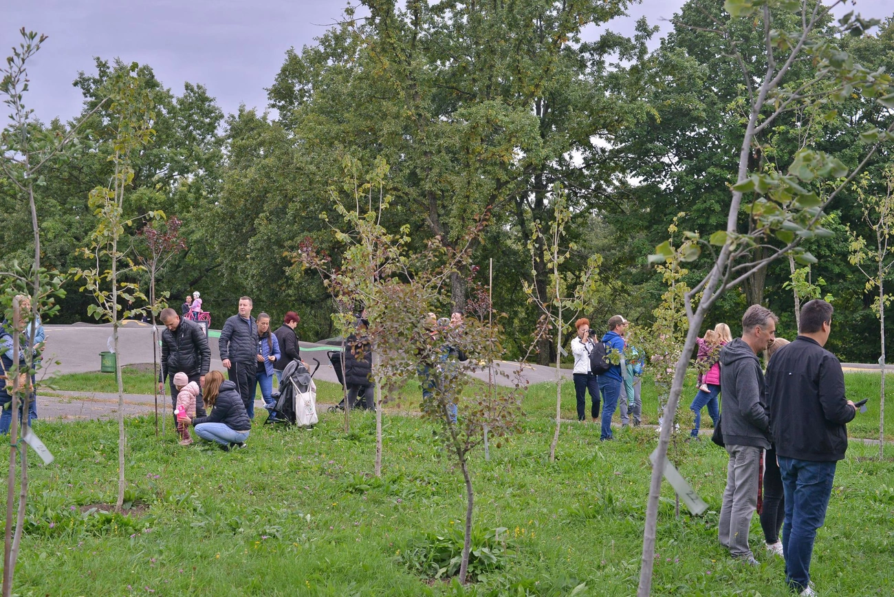 Újszülöttek 13. parkja