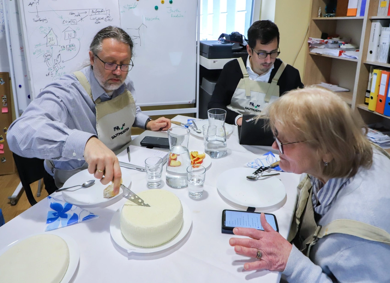 fotó: Mocsári László