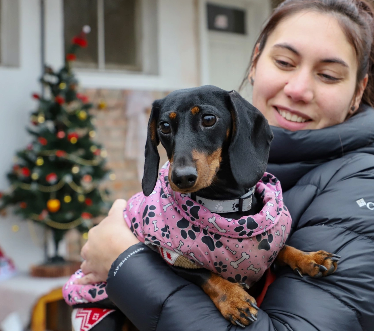 fotó: Mocsári László