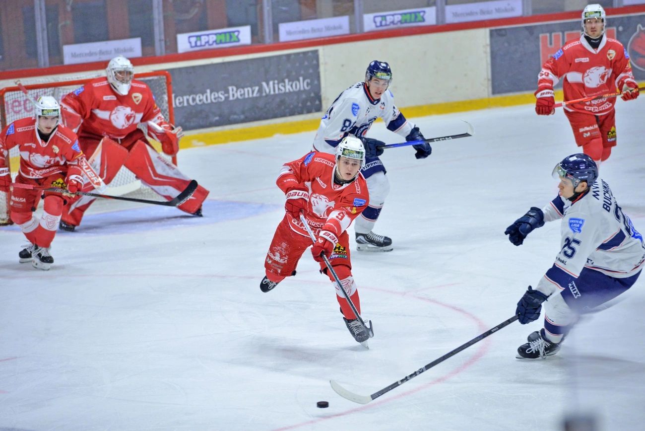 DVTK Jegesmedvék - FEHA 19