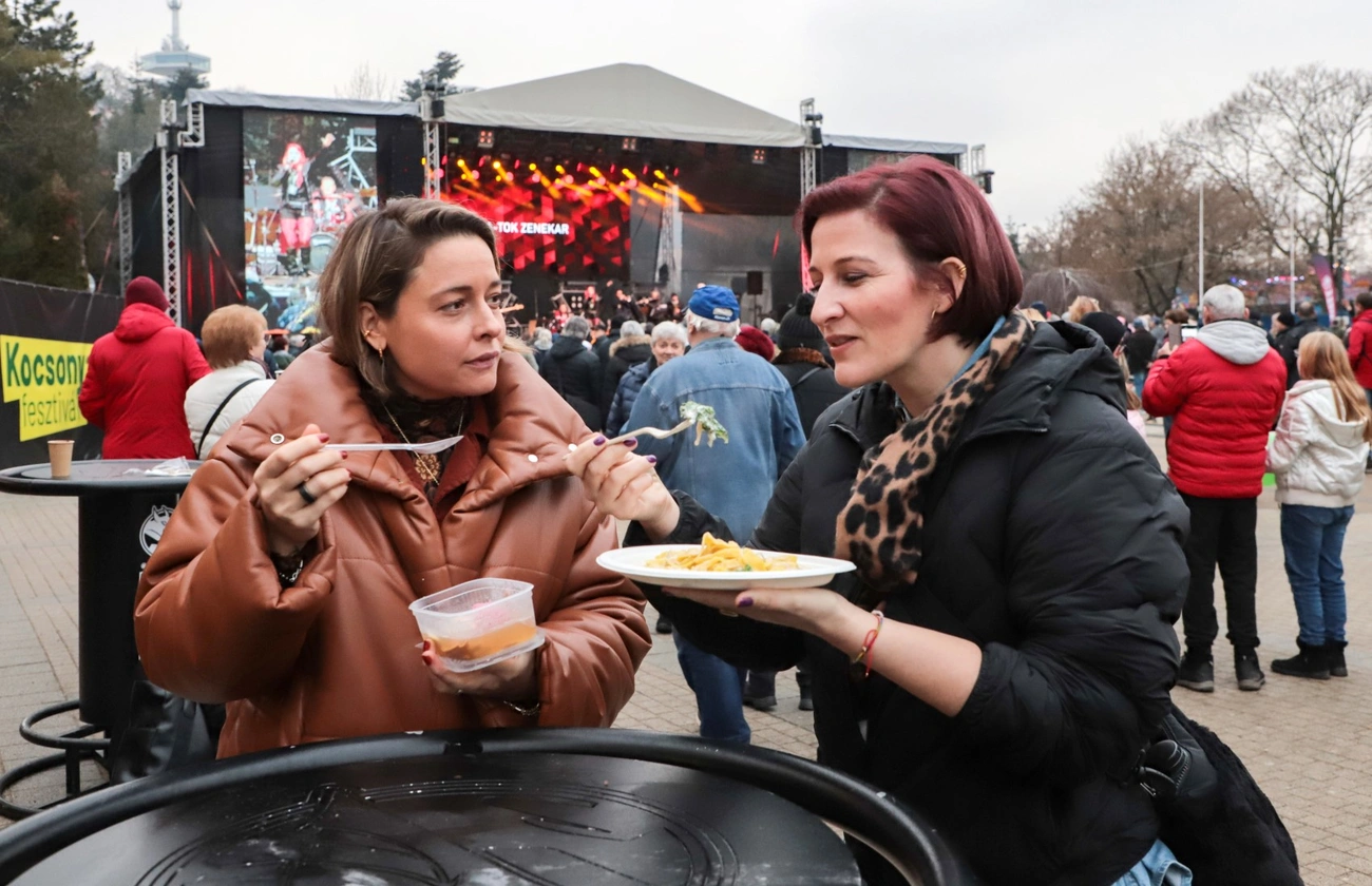 Kocsonyafesztivál , péntek I.