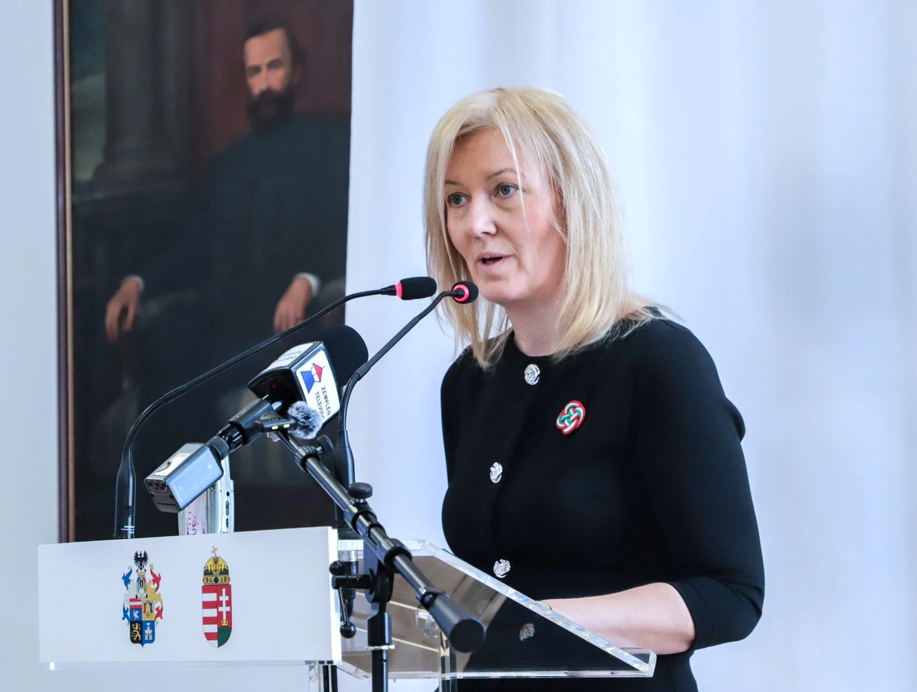 Ünnepi közgyűlés és Lévay József díj átadó a vármegyeházán