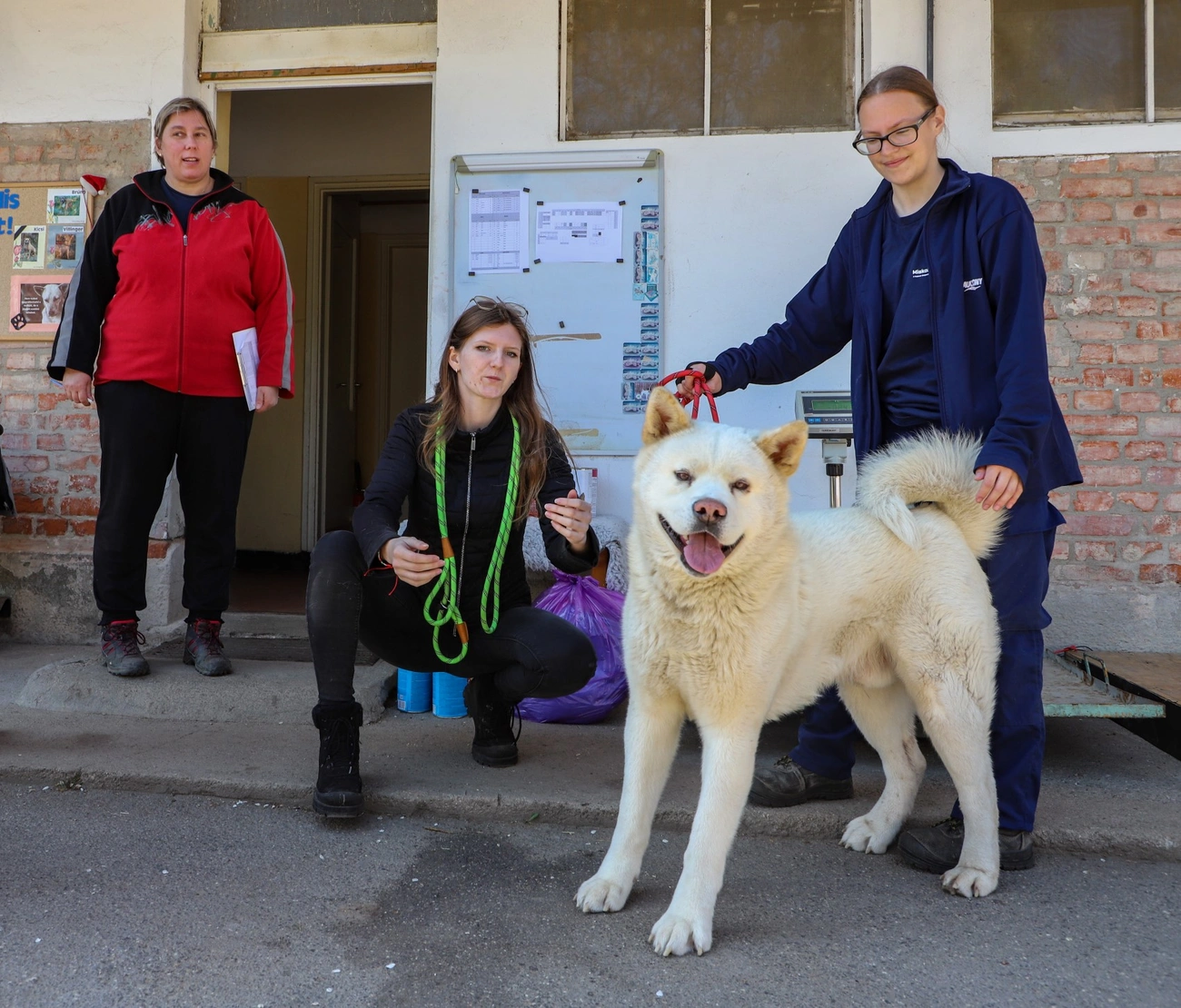Nyílt nap és jótékonysági fotózás az Állategészségügyi Telepen