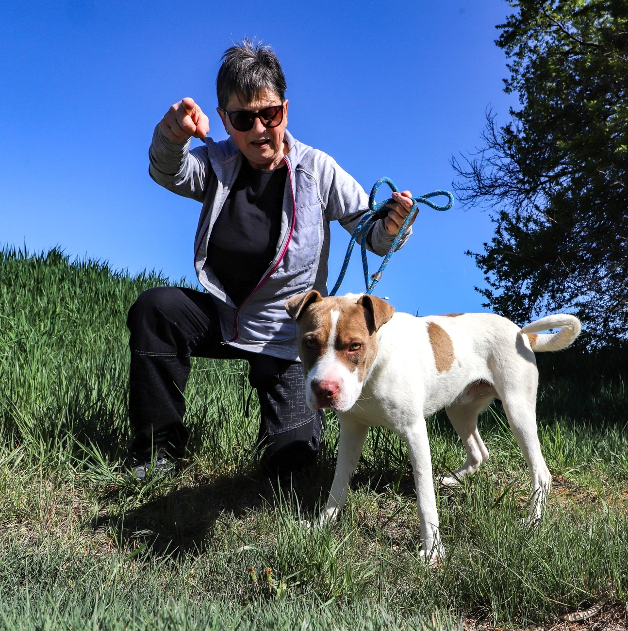 Nyílt nap és jótékonysági fotózás az Állategészségügyi Telepen