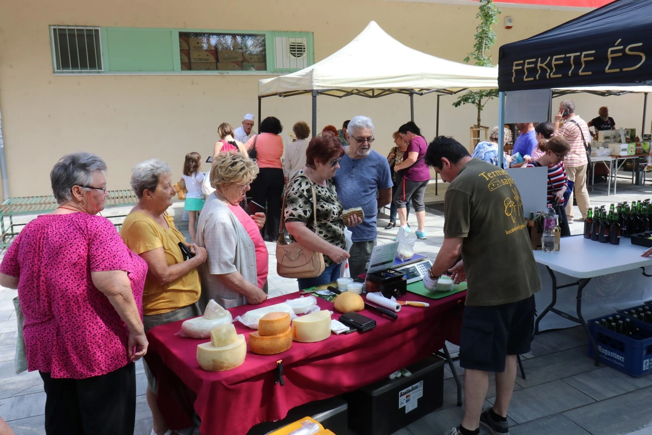 Diósgyőri Termelői Vásár