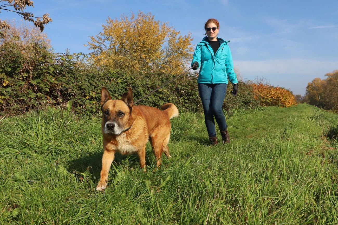 Nyílt nap az Állategészségügyi Telepen