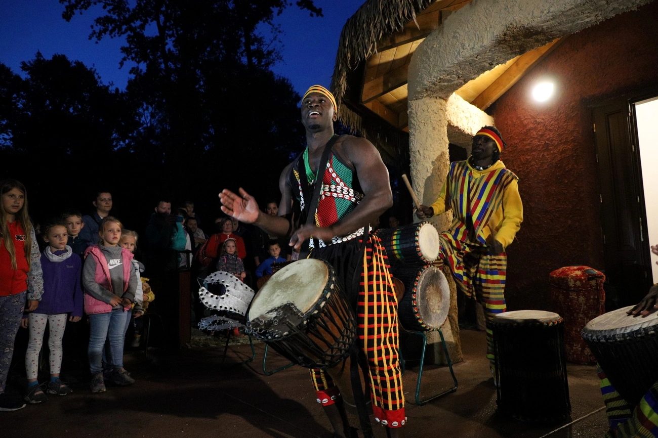 ÉjszakáZOO a Miskolci Állatkertben