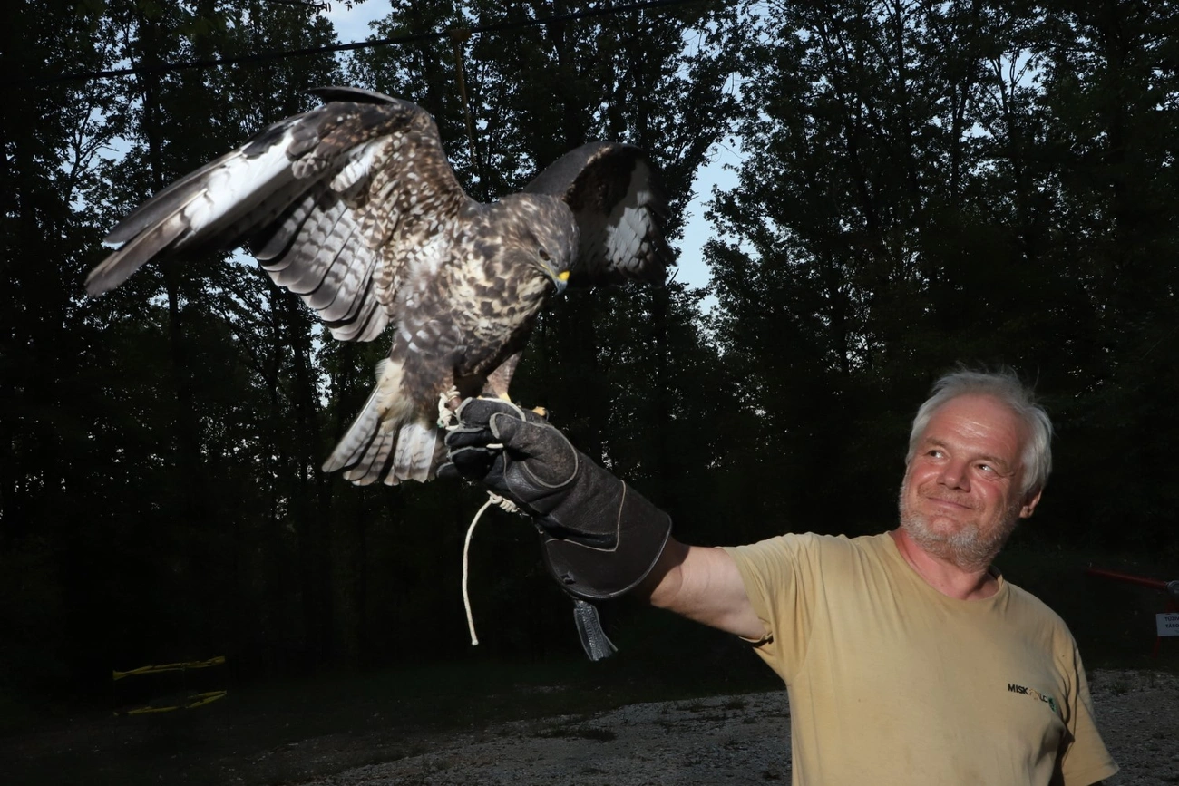 Állatkertek éjszakája 