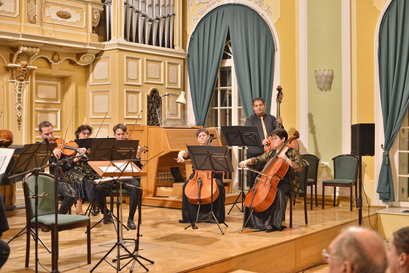 Anatólia koncert, Reményi Ede kamarazenekar