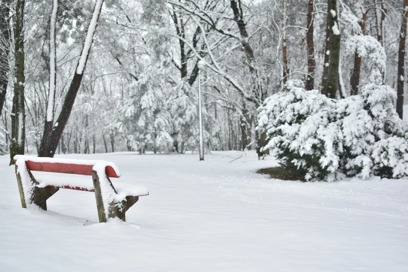 Cziffra Andrea képgalériája
