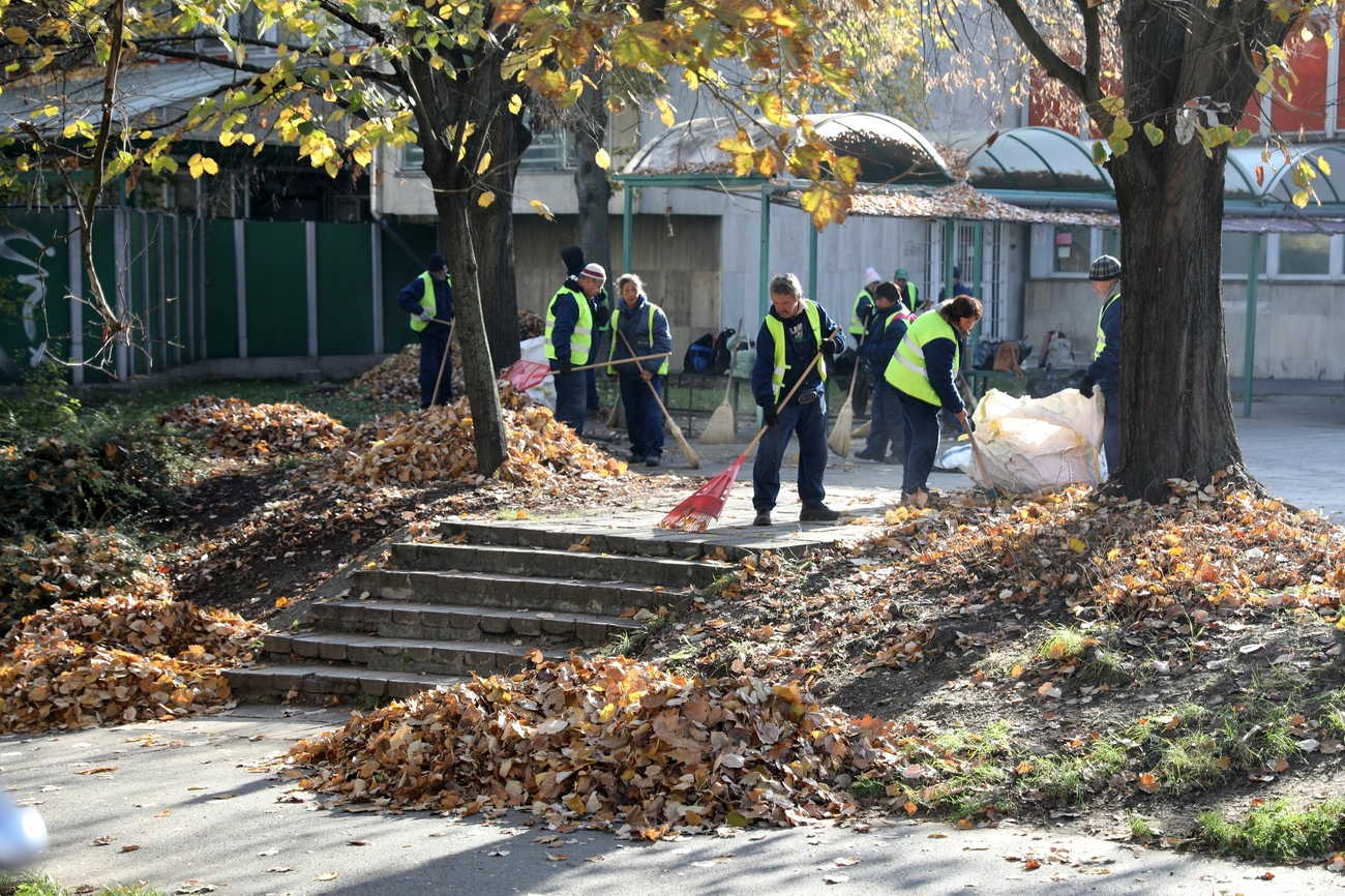Fotó: Juhász Ákos 