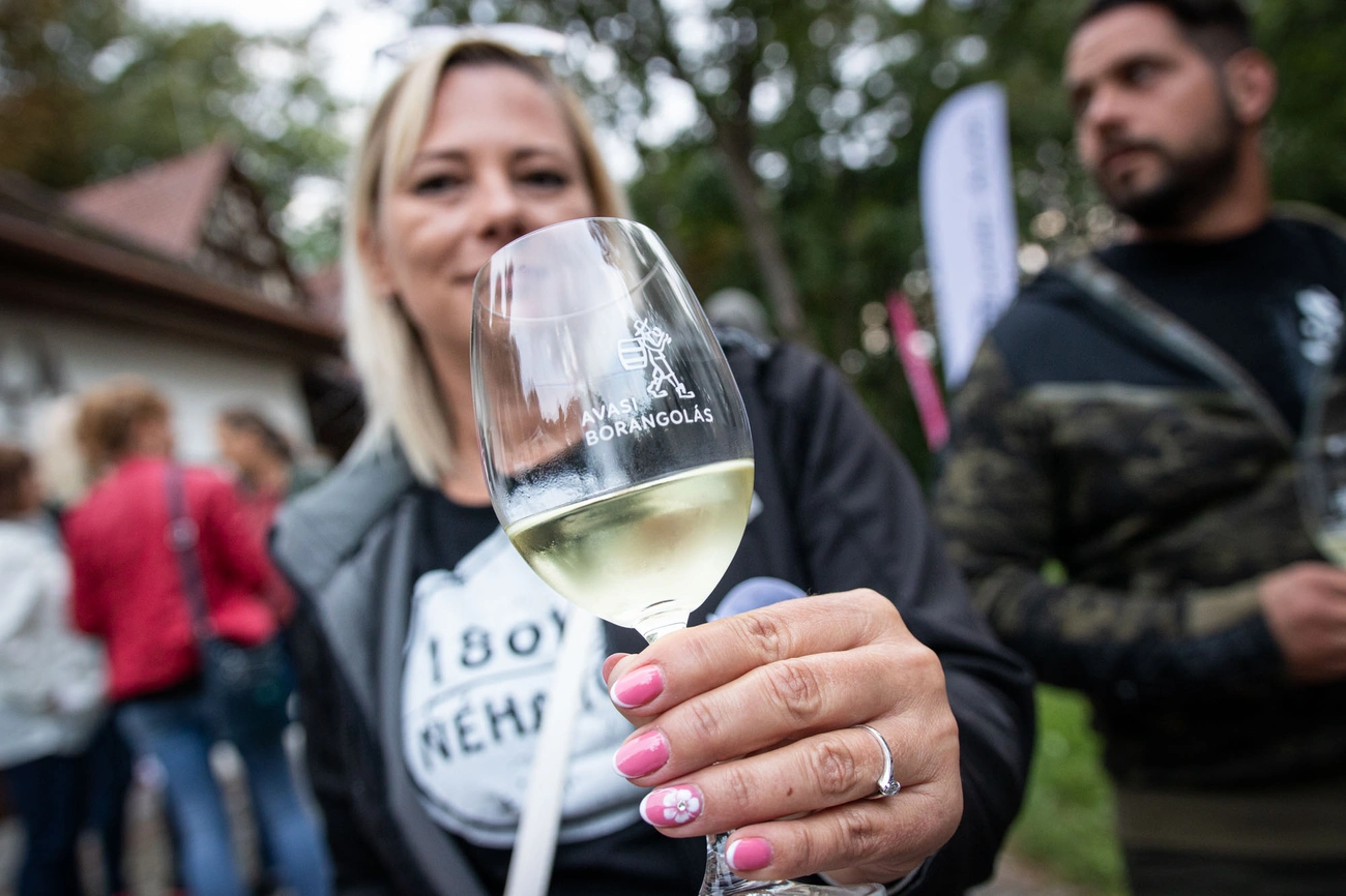 Avasi Borangolás-péntek este  