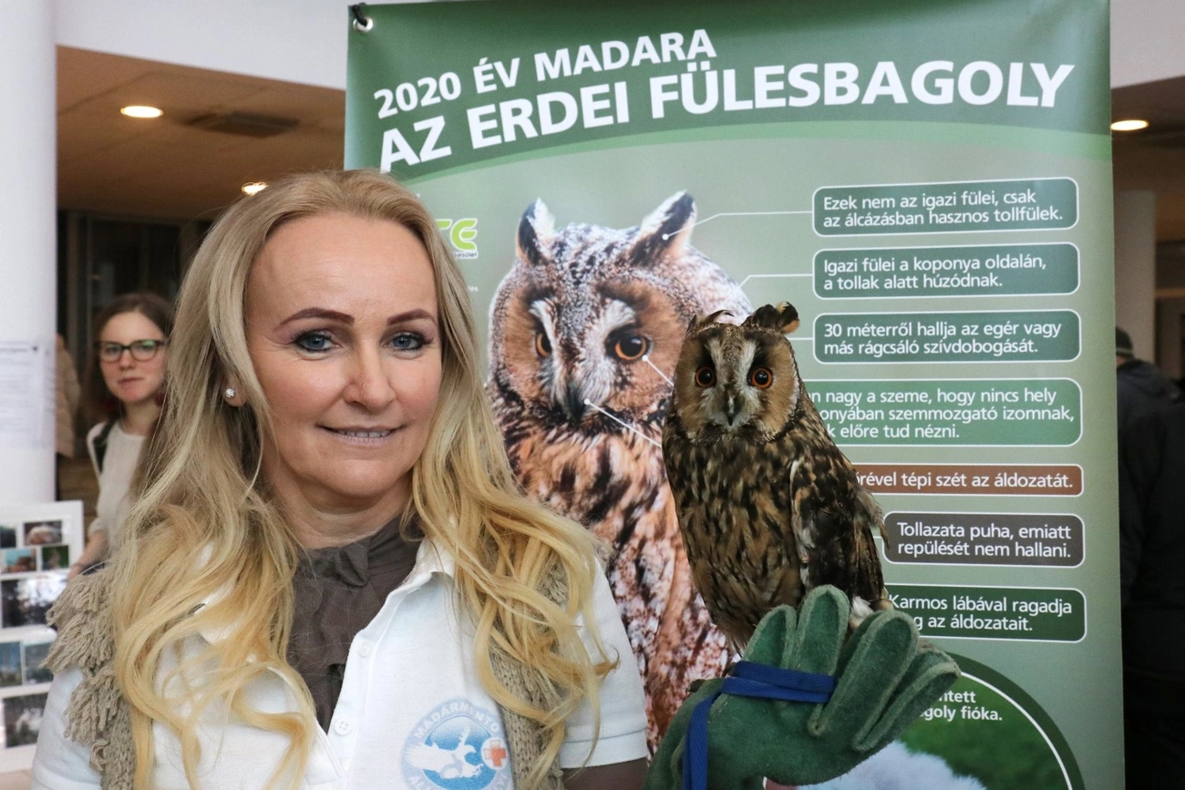 VII. Bagolyles az egyetemen 