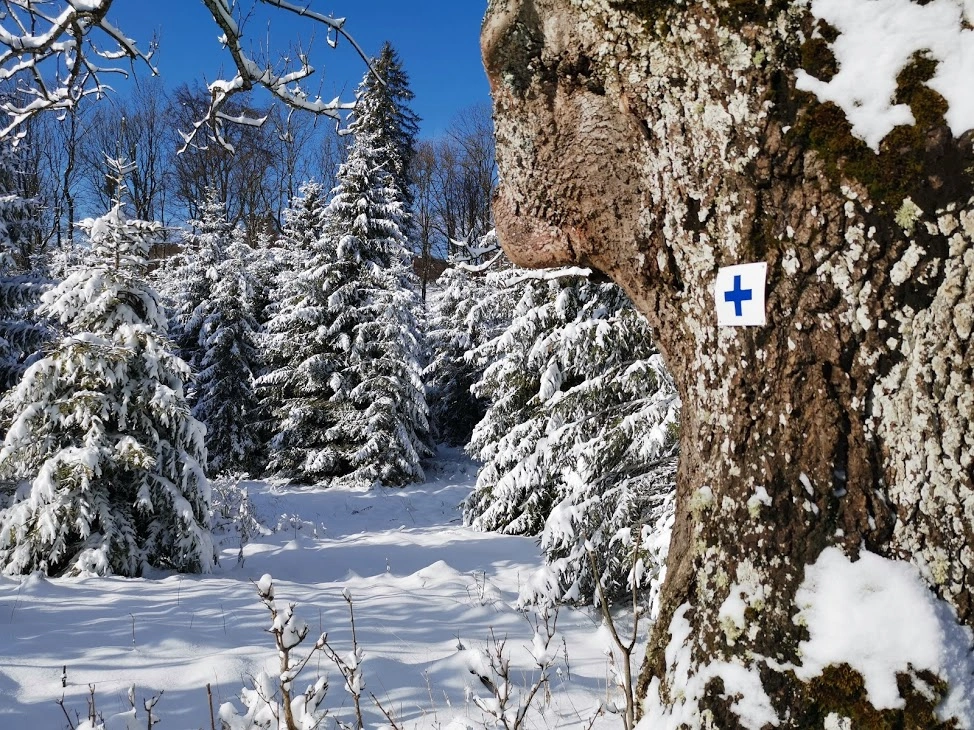 Fotók: Nagy Norbert