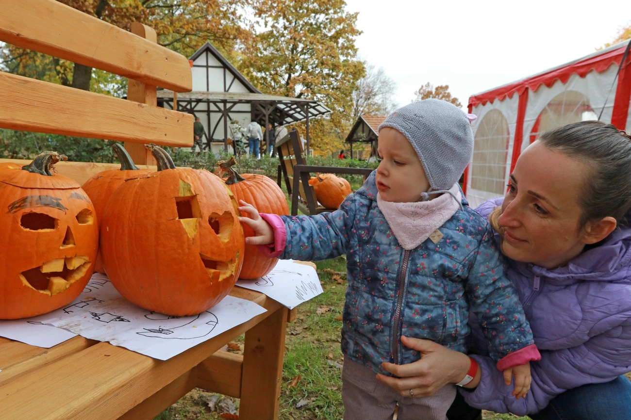 Tök jó szombat a Baráthegyi Majorságban 